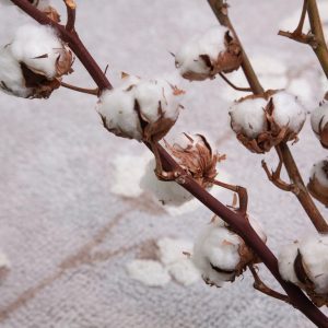 Alfombra Lavable Cotton Bolls-C-COT-BOLLS_9